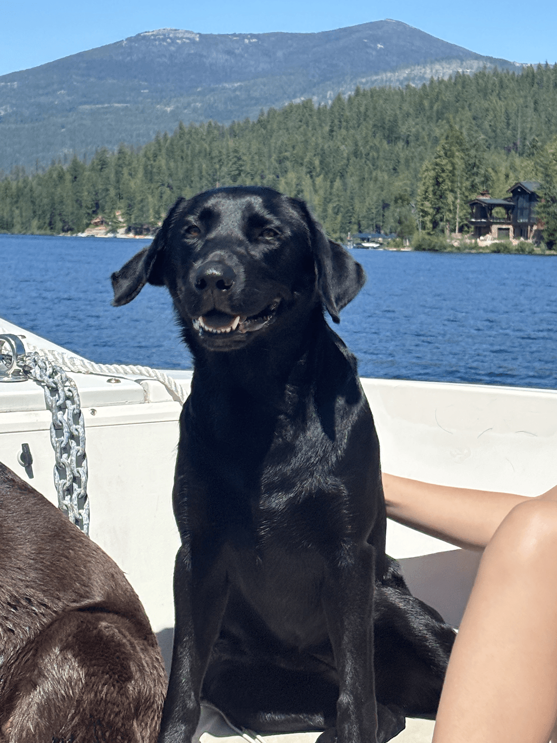 My pride and joy - Ms Lulu