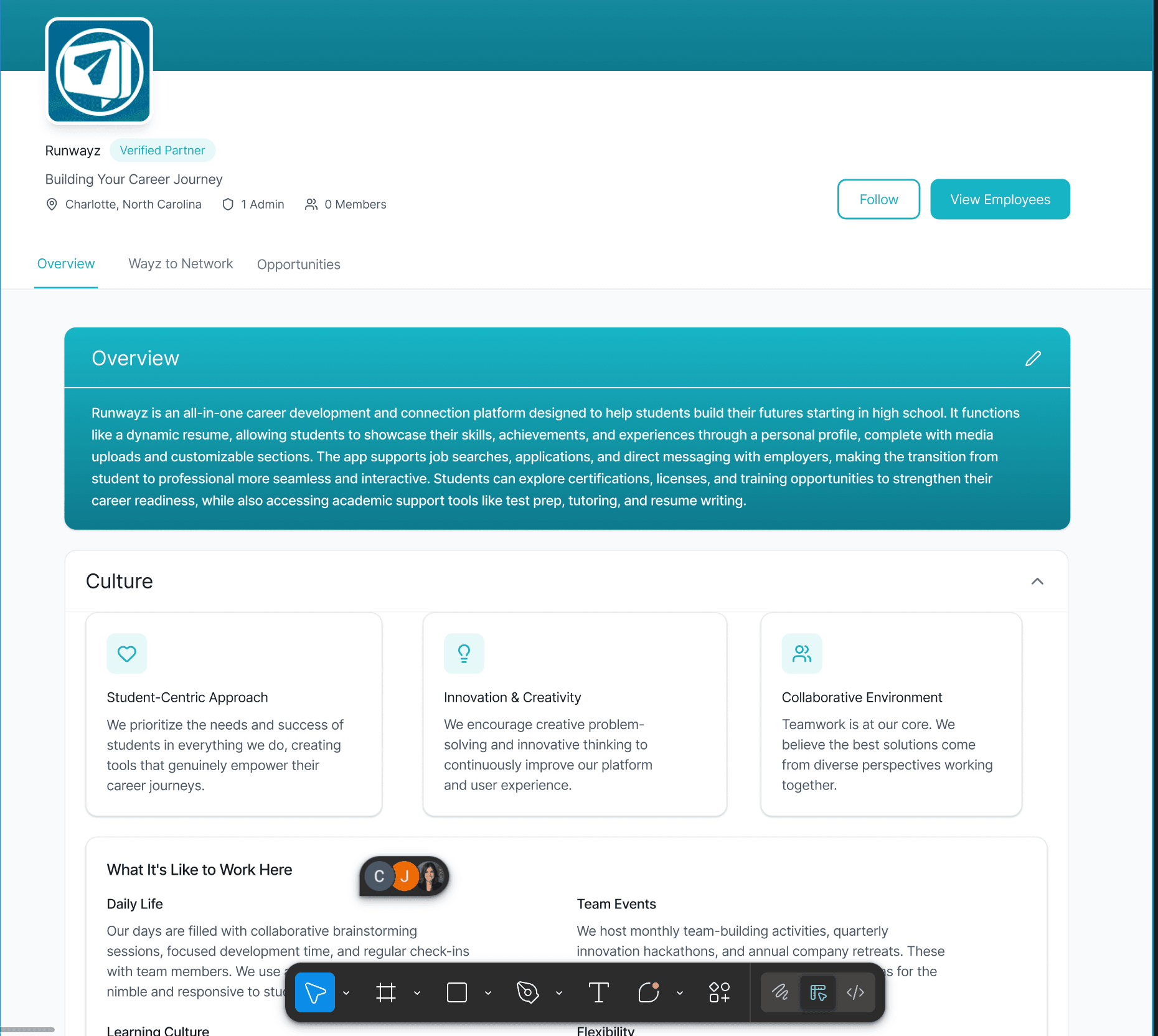 company overview tab